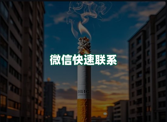 核心优势